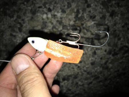 貝塚人工島1本勝負